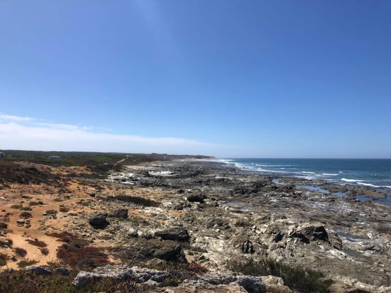 Taste of Setubal: Market Visit and Wine Tastings - Scenic Drive and Vistas of the Setúbal Wine Region