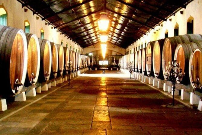 Taste of Sintras Wonders  Wine & Tapas Tasting Private Tour - The Wine & Tapas Tasting in São João das Lampar