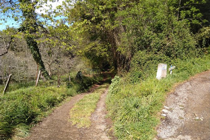 Taste of the Camino de Santiago - Highlights from Reviews