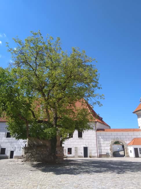 Taste the history and present of beer in eský Krumlov - Key Points