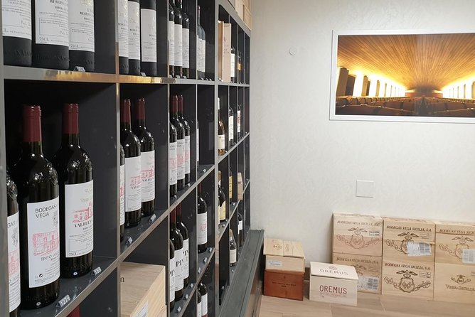 TASTE THE TREASURES from RIBERA DEL DUERO in a SUBTERRANEAN wine Cellar - Tasting Fine Wines from Small Local Producers