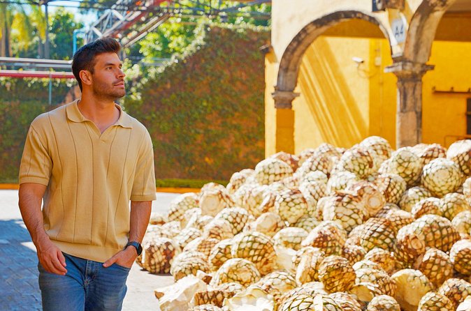 Tasted Chocolate - Toasting with Chocolate Horses and Reserva de la Familia