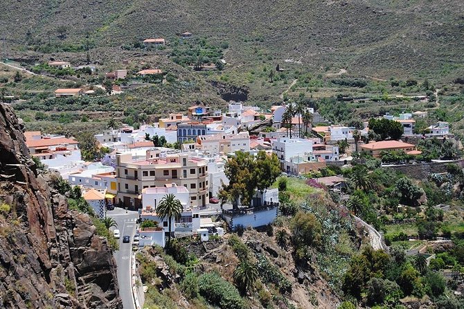 Tastes of Fuerteventura Minivan VIP Tour - Explore Fuerteventura’s South in a Personalized Tiny Group