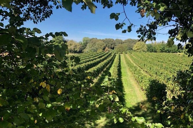 Tasting 6 wines exclusive to Azienda Giovanna Tantini - Frequently Asked Questions