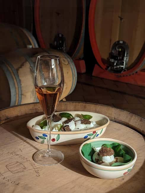 Tasting and tour of the winery - Tasting Local Wines and Organic Products