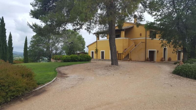 Tasting and tour of the winery - Modern Winemaking with a Respect for Nature