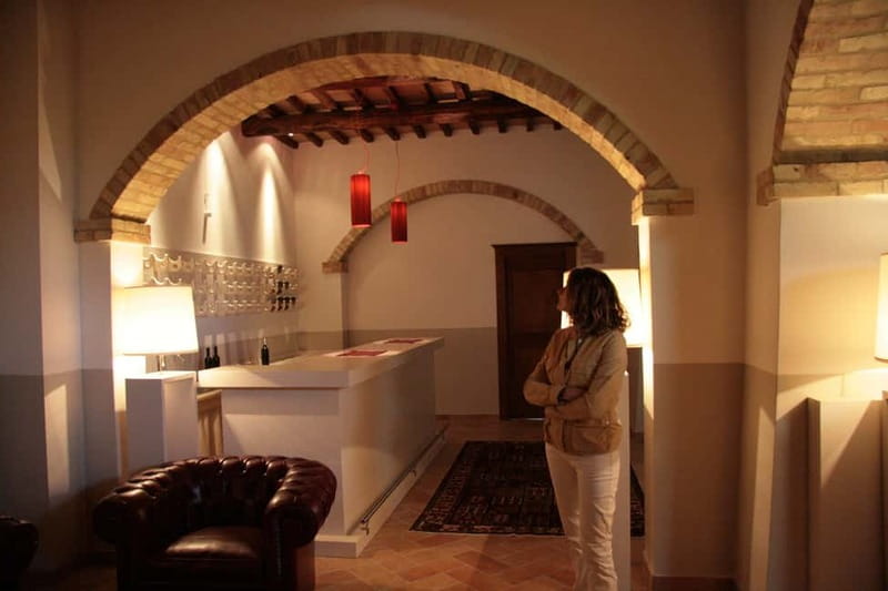 Tasting and tour of the winery - Similar Experiences in the Region