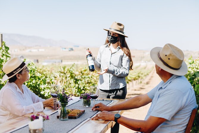 Tasting and tour through the vineyard - Discover the Charm of Rondo del Valles Private Vineyard Tour in Ensenada