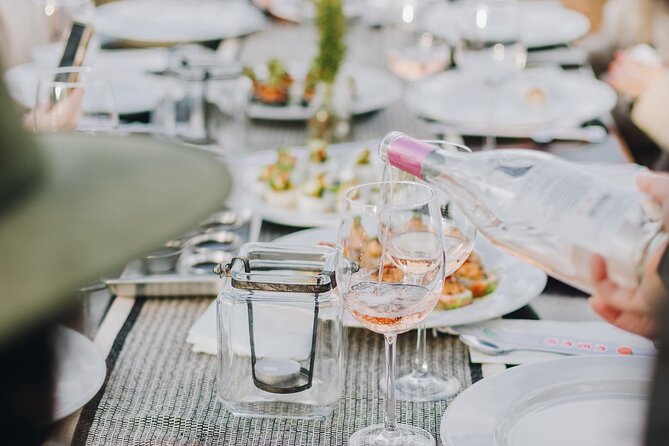 Tasting and tour through the vineyard - The Value of This Private Vineyard Tour