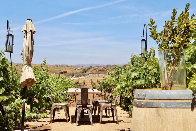 Tasting and tour through the vineyard - Accessibility and Additional Information