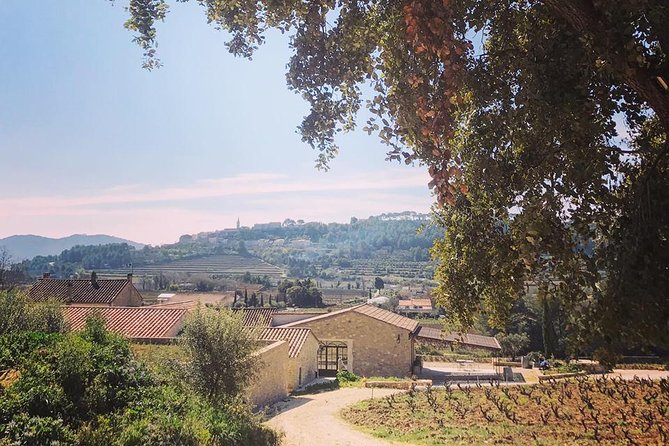 Tasting Bandol Wines & Visit of Cellar (in English) - Visiting a Family-Run Bandol Winery in Toulon