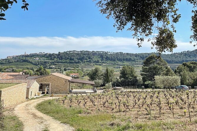 Tasting Bandol Wines & Visit of Cellar (in English) - Duration and Pacing