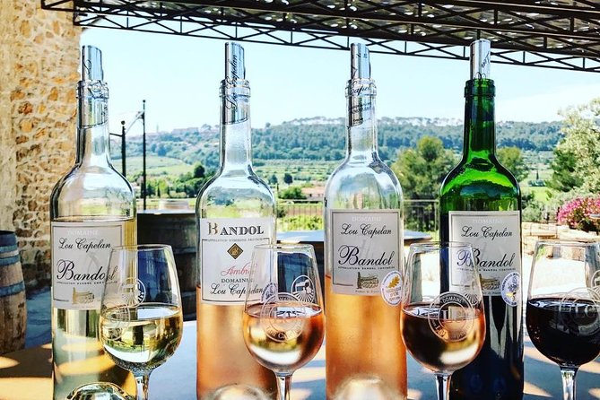 Tasting Bandol Wines & Visit of Cellar (in English) - Value and Customer Satisfaction