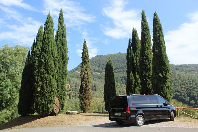 Tasting in a Tuscan Vineyard with transfer from Lucca - Key Points