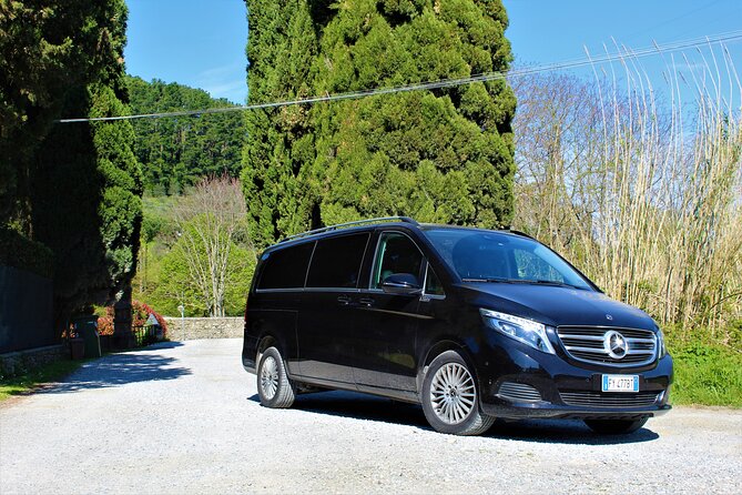 Tasting in a Tuscan Vineyard with transfer from Lucca - The Vineyard’s Location and Views