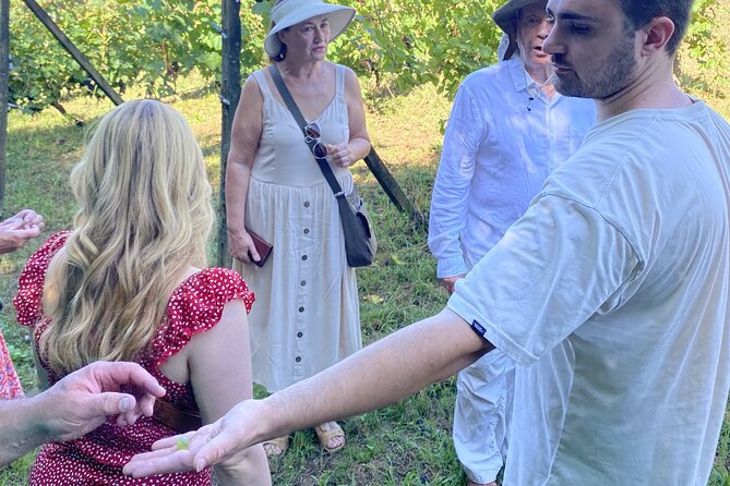 Tasting in a Tuscan Vineyard with transfer from Pisa - Discover the Authenticity of Tuscany on a Wine Tasting Tour from Pisa