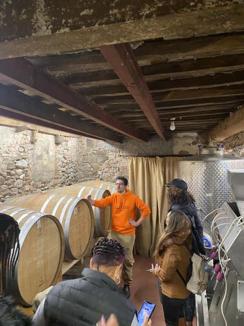Tasting in a Tuscan Vineyard with transfer from Pisa - Discover the Charm of a Family-Run Tuscan Vineyard
