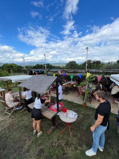 Tasting in a Tuscan Vineyard with transfer from Pisa - Value for Money and Booking Flexibility