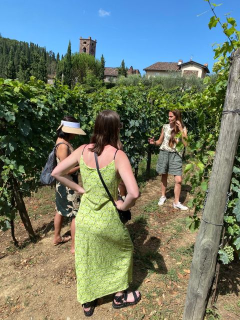 Tasting in a Tuscan Vineyard with transfer from Pisa - Who Will Enjoy This Tour the Most?