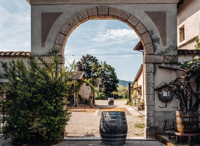 Tasting in the cellar, Caprino Veronese, Pesina - Explore the Rich Winemaking Tradition of Caprino Veronese