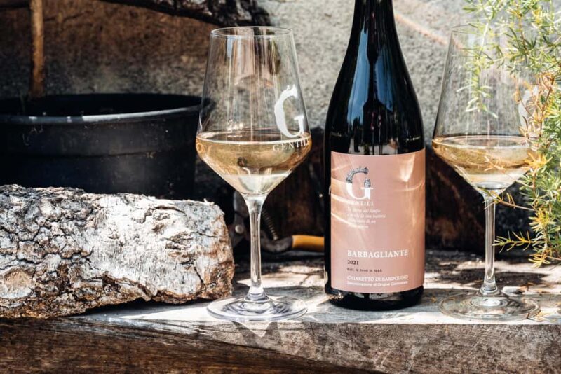 Tasting in the cellar, Caprino Veronese, Pesina - Optional Vineyard Walk with Scenic Views