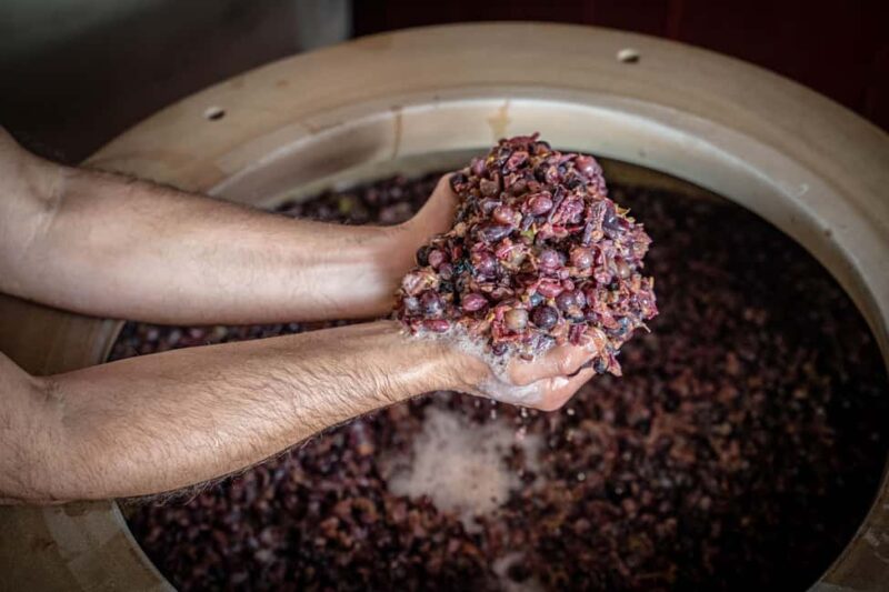 Tasting in the cellar, Caprino Veronese, Pesina - Accessibility and Flexibility for Visitors