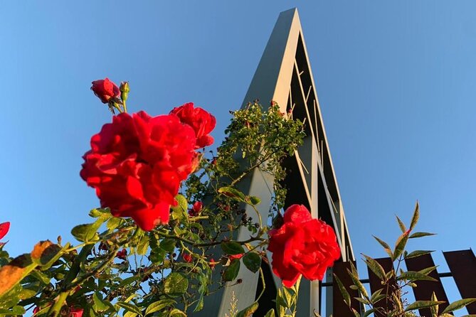 Tasting in the cellar - The Informative and Friendly Hosts
