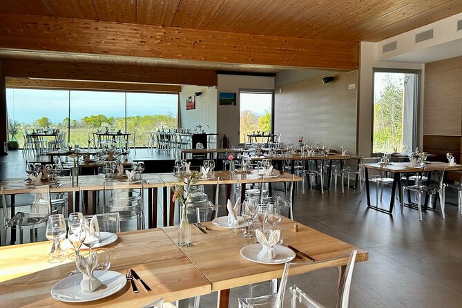 Tasting in the cellar - Unique Location and Scenic Views