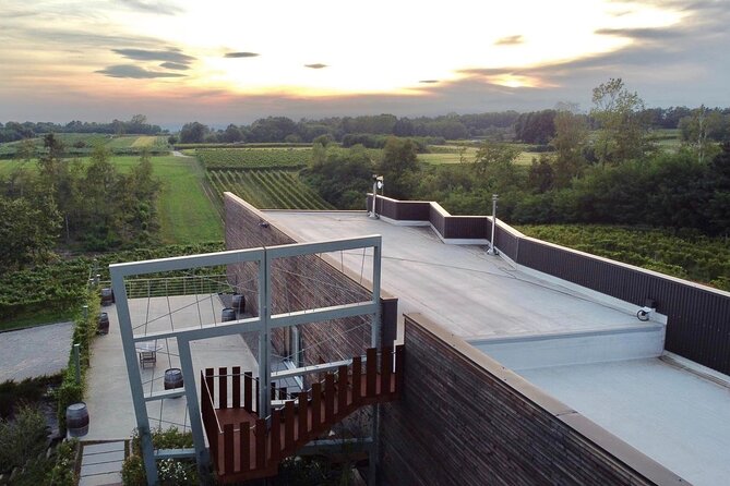 Tasting in the cellar - Accessibility and Group Options