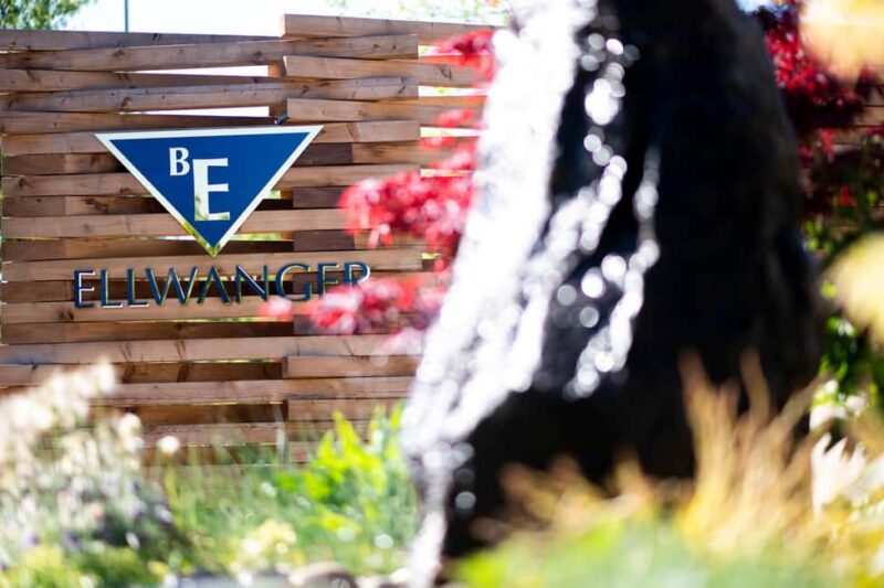 Tasting of 4 non-alcoholic drinks & bread + discount on 1 bottle - Explore Non-Alcoholic Sparkling Wines at Bernhard Ellwangers Wine Shop