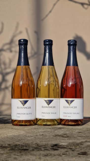 Tasting of 4 non-alcoholic drinks & bread + discount on 1 bottle - Frequently Asked Questions