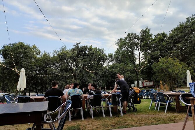 Tasting of 4 Valtenesi wines with local food in Salò - Discover Valtenesi Wines with Local Flavors in Salò