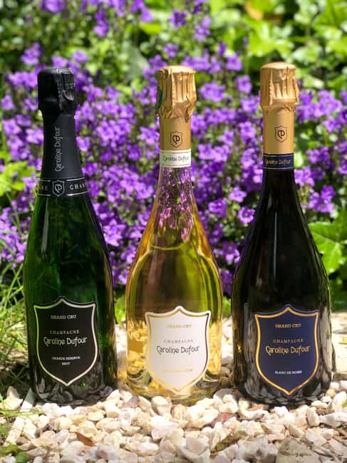 Tasting of Champagne Blanc de Noirs and Cheese in the heart of Reims - Authentic Champagne Tasting in the Historic Heart of Reims