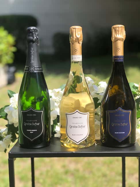 Tasting of Champagne Blanc de Noirs and Cheese in the heart of Reims - The Art of Champagne and Cheese Pairing