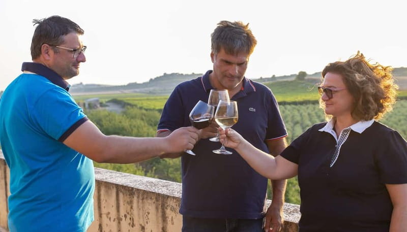 Tasting of EVO Wines and Oil in the countryside of Agrigento - The Personalities of the Guides and Their Stories