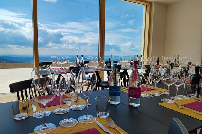 Tasting of Organic Mountain Wines with Vineyard and Cellar Tour - Key Points