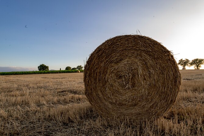 TASTING Selection of 3 wines in Montefalco - Why This Tasting Stands Out in Montefalco