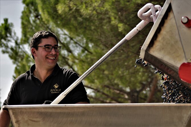 Tasting Selection of 4 wines in Montefalco - Key Points