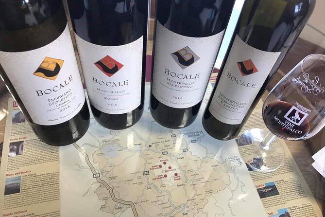 Tasting Selection of 4 wines in Montefalco - Sampling Four Distinct Wines from Bocales Range
