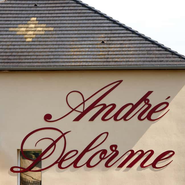 Tasting: Sparkling Discovery - The Tasting Experience and Atmosphere