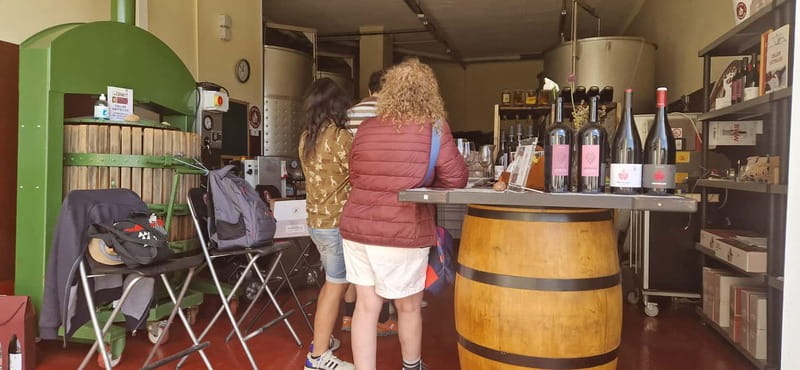 tasting wines in the vineyards with hotel pickup hotel - Key Points