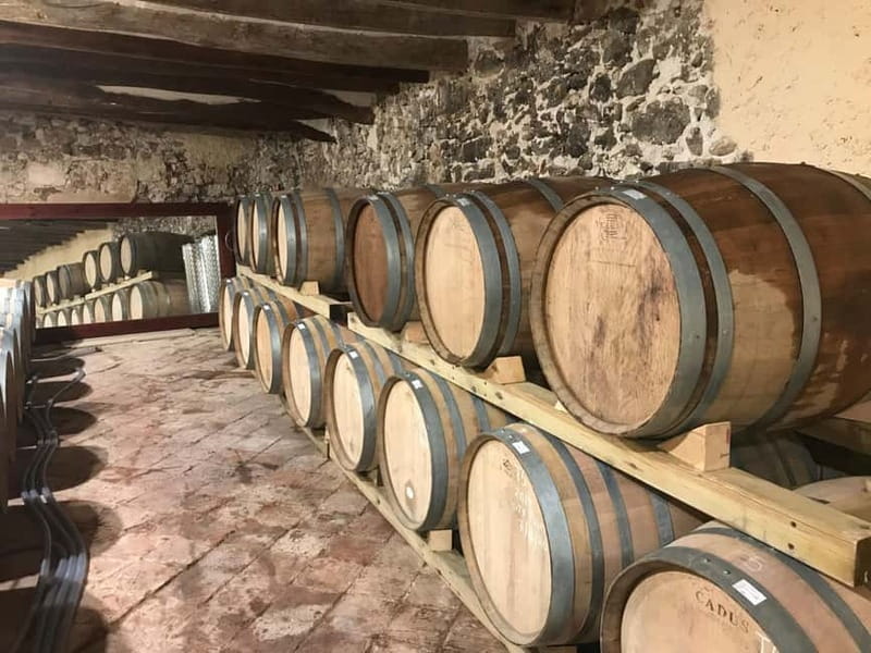 tasting wines in the vineyards with hotel pickup hotel - Journey to the Heart of Priorat’s Vineyards