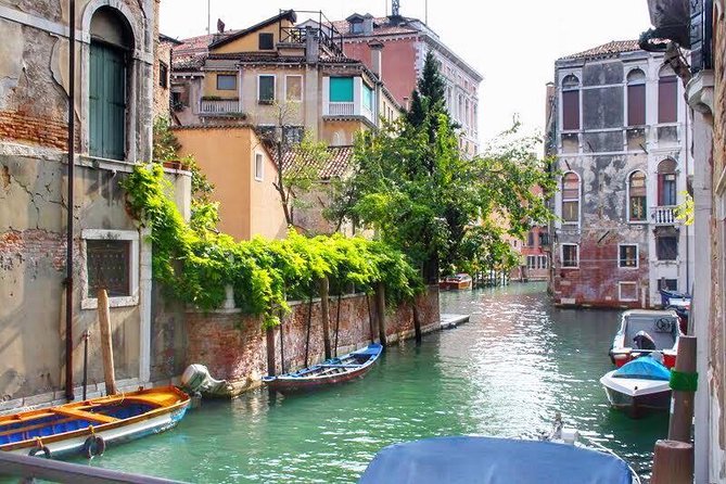 Tasty Street Food Tour of Venice City Center with Cicchetti & Local Specialties - The Food Tastings and Local Specialties