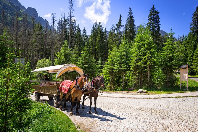 Tatra Mountains and Zakopane Full-Day Tour from Krakow - Paying Respect at Pskowy Brzyzek Cemetery