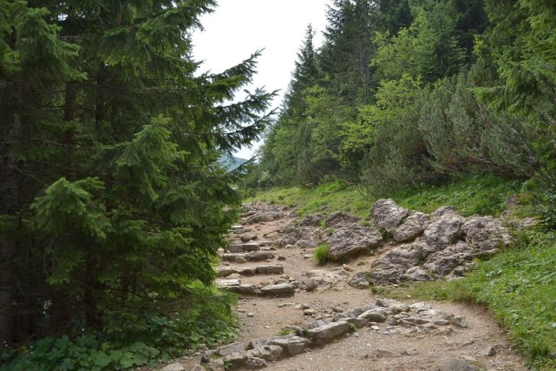 Tatras Mountains: Full-day Hiking Tour from Krakow - The Experience Provider: Poland Active Krakow