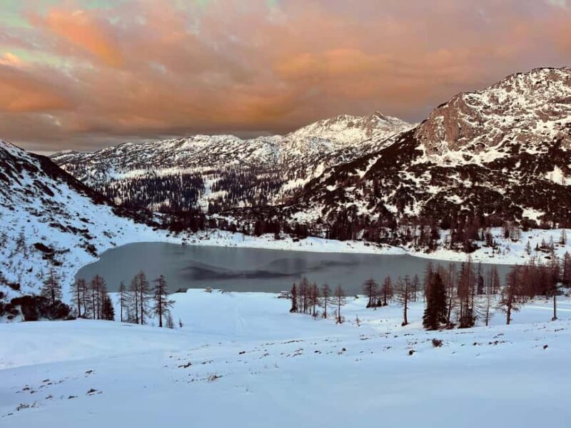 Tauplitz: Snowshoeing Adventure for Beginners - Key Points