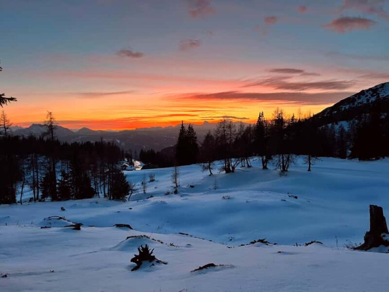 Tauplitz: Snowshoeing Adventure for Beginners - Required Equipment and Safety Precautions