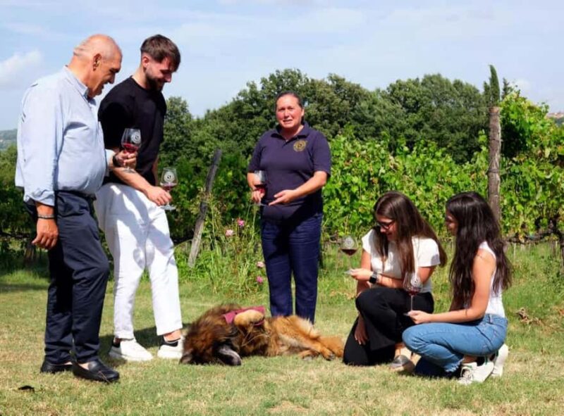 Taurasi Wine Journey: Taste DOCG Wines & Local Delights - Comparing Similar Experiences