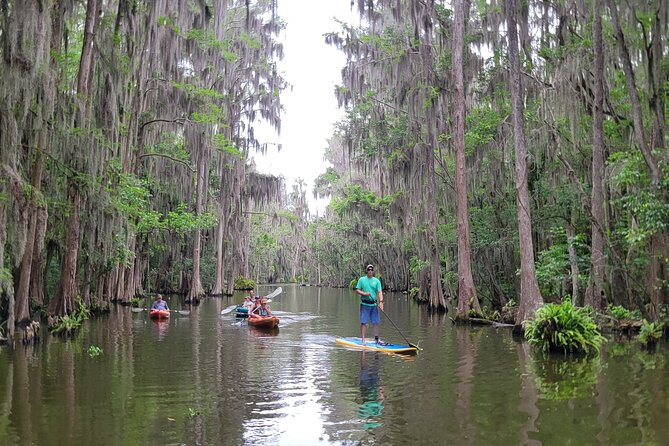 Tavares Poppy's Sweet Paddle Adventure with Ice Cream - How the Paddling is Structured and What to Expect