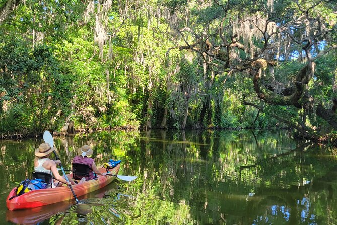 Tavares Poppy's Sweet Paddle Adventure with Ice Cream - Practical Details: Meeting Point, Timing, and Group Size